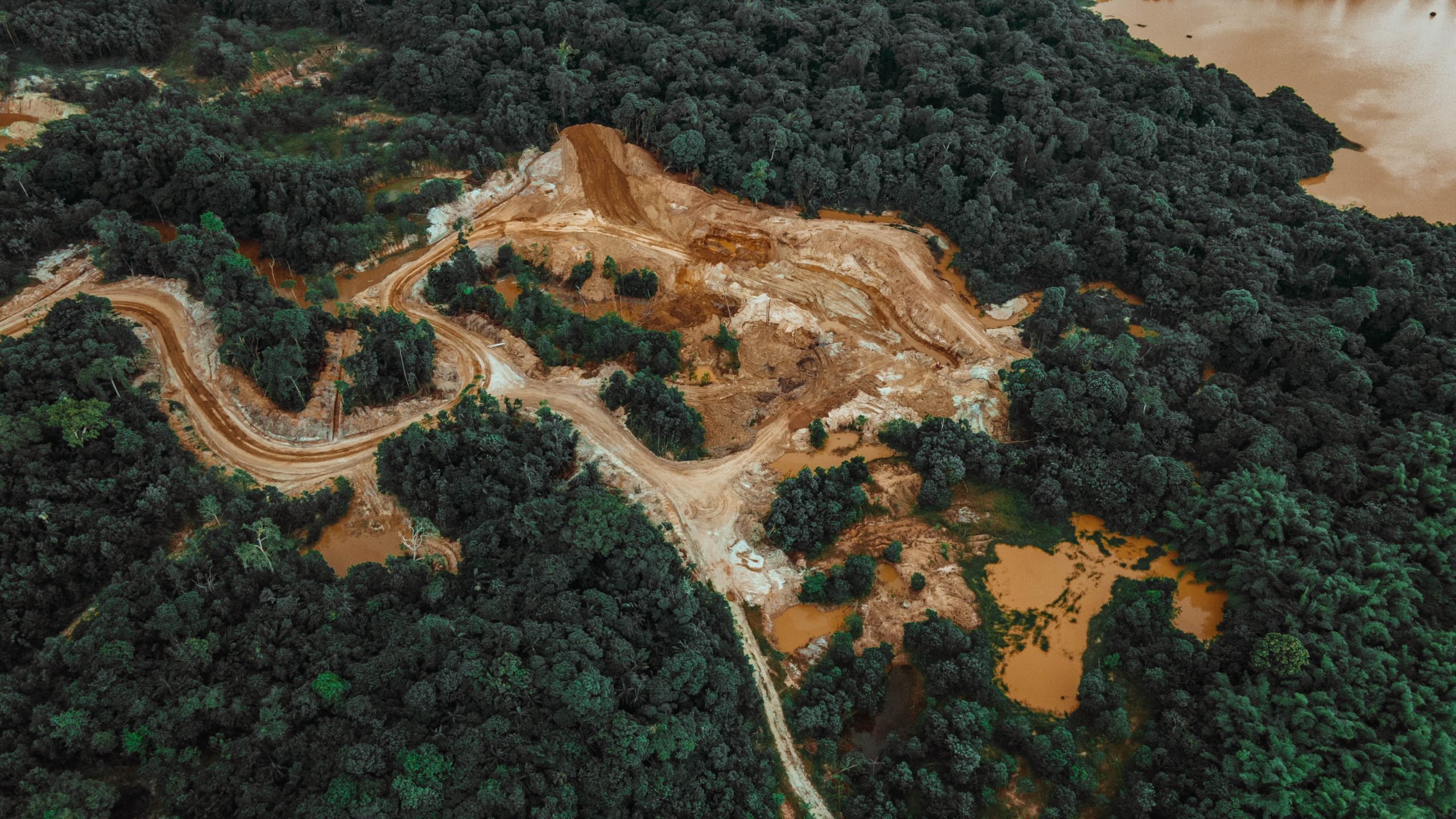 Ambiente e informação: contestando a instrumentalização política da LGPD na regulação ambiental