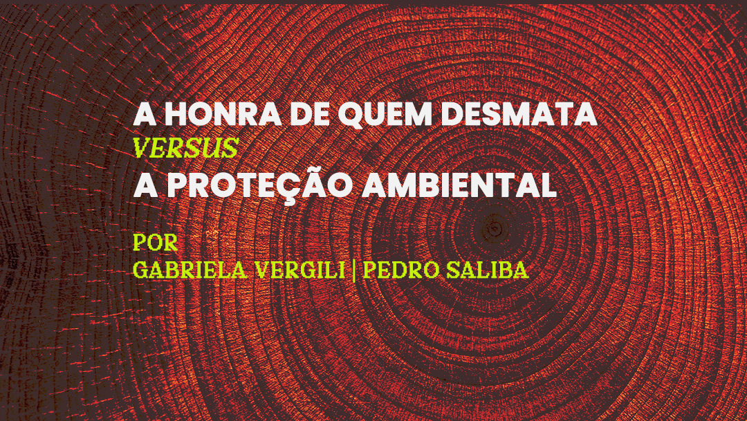 http://A%20honra%20de%20quem%20desmata%20versus%20a%20proteção%20ambiental