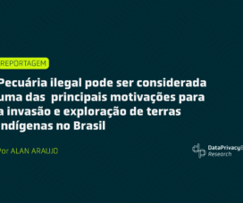 Pecuária ilegal pode ser considerada uma das principais motivações para a invasão e exploração de terras indígenas no Brasil