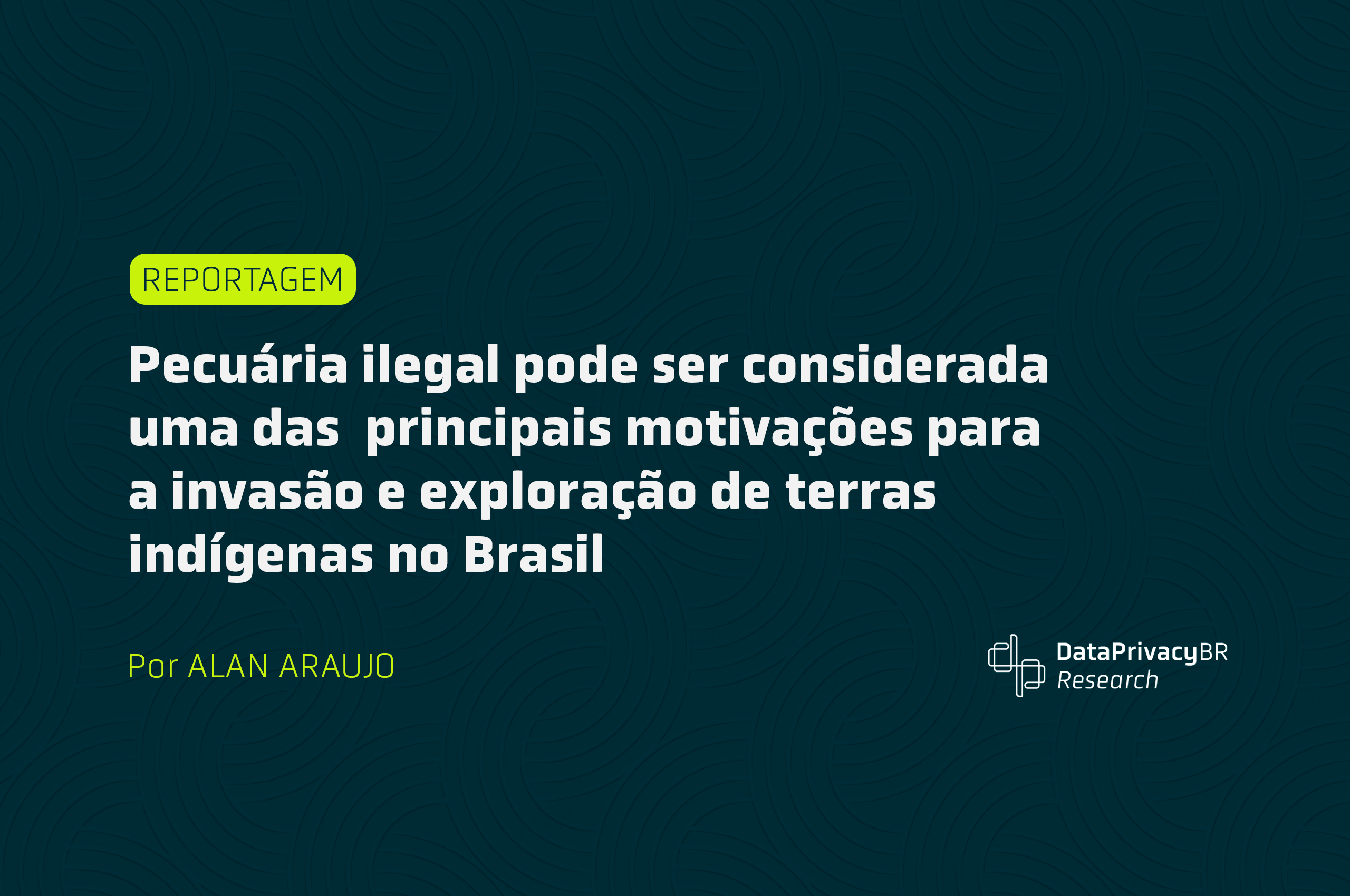 http://Pecuária%20ilegal%20pode%20ser%20considerada%20uma%20das%20principais%20motivações%20para%20a%20invasão%20e%20exploração%20de%20terras%20indígenas%20no%20Brasil