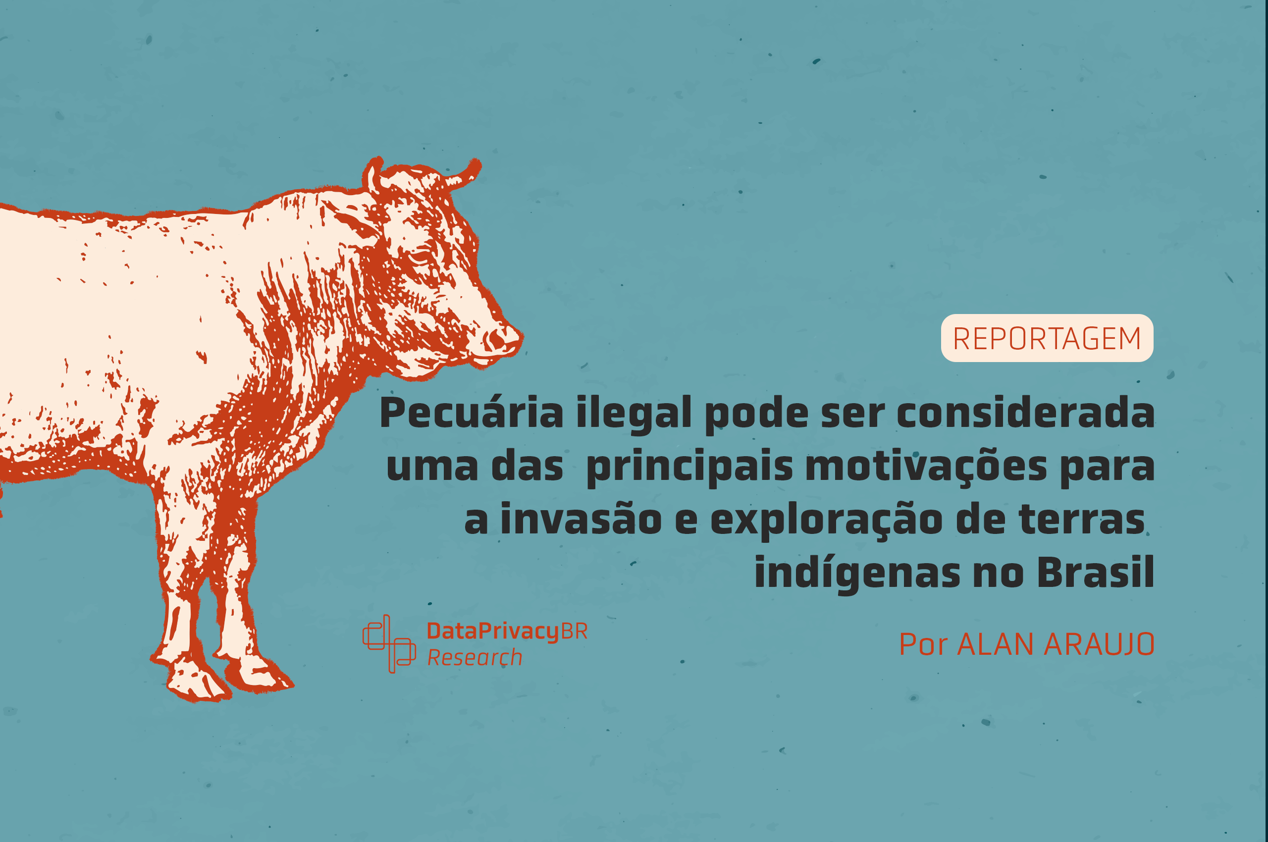  Reportagem completa – Pecuária ilegal pode ser considerada uma das principais motivações para invasão e exploração de terras indígenas no Brasil