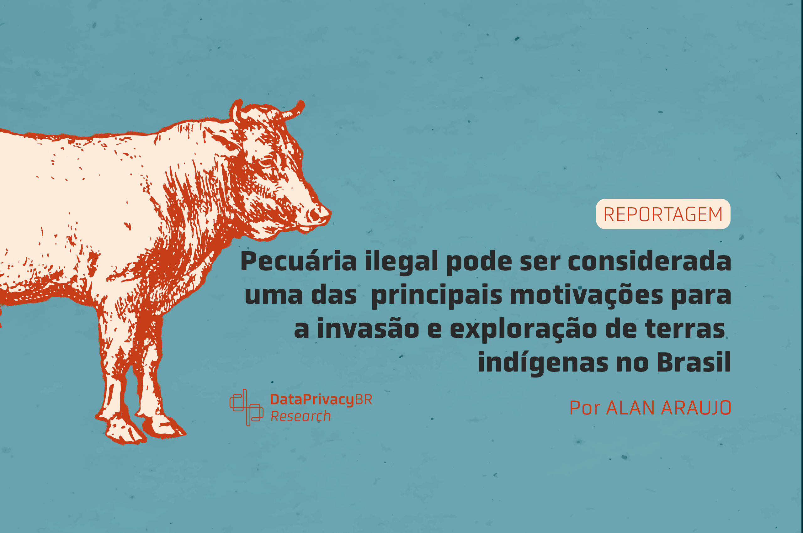 Reportagem completa – Pecuária ilegal pode ser considerada uma das principais motivações para invasão e exploração de terras indígenas no Brasil